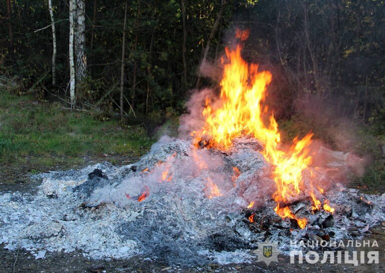 На Житомирщині поліція знищила близько 60 кг наркотичних засобів і майже 6 тисяч нарковмісних рослин