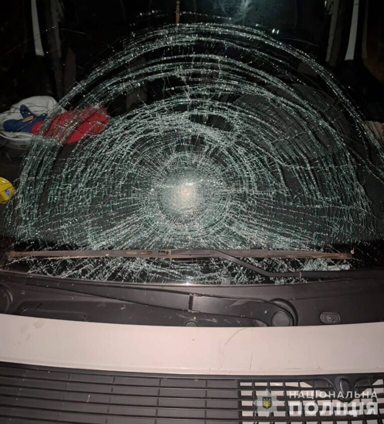 На Коростенщині поліція встановлює обставини ДТП з травмуванням пенсіонера