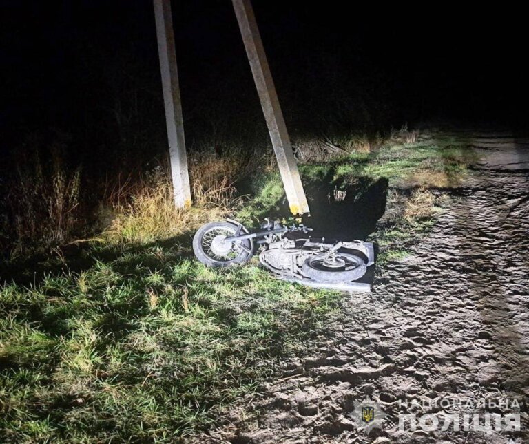 У ДТП на Звягельщині травми отримали двоє неповнолітніх: поліцейські встановлюють усі обставини
