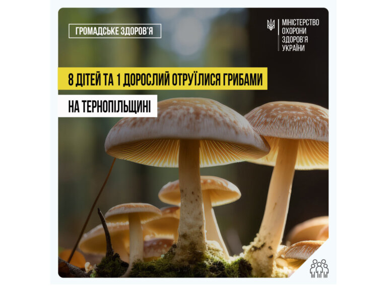 На Тернопільщині восьмеро дітей і один дорослий отруїлися дикими грибами