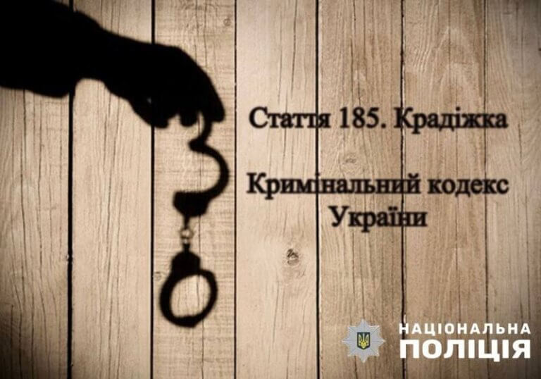 Поліцейські встановили причетність двох жителів Звягельщини до крадіжок