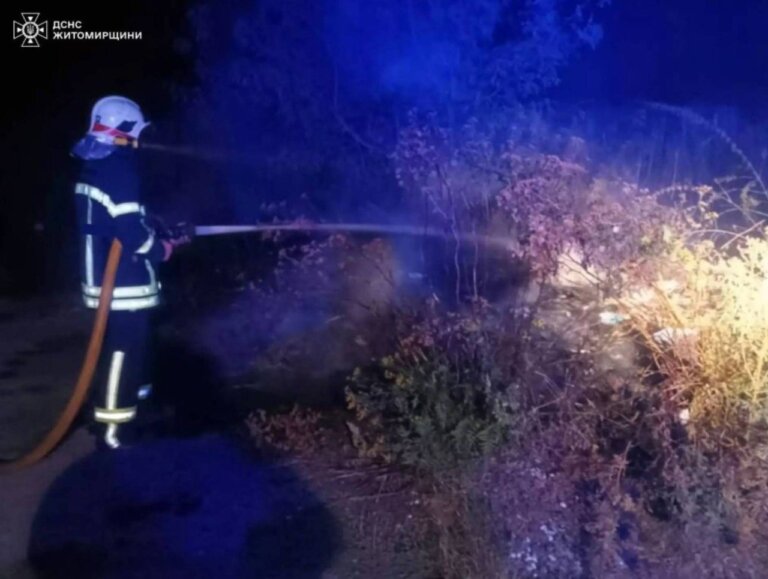 За добу рятувальниками ліквідовано 10 пожеж у регіоні
