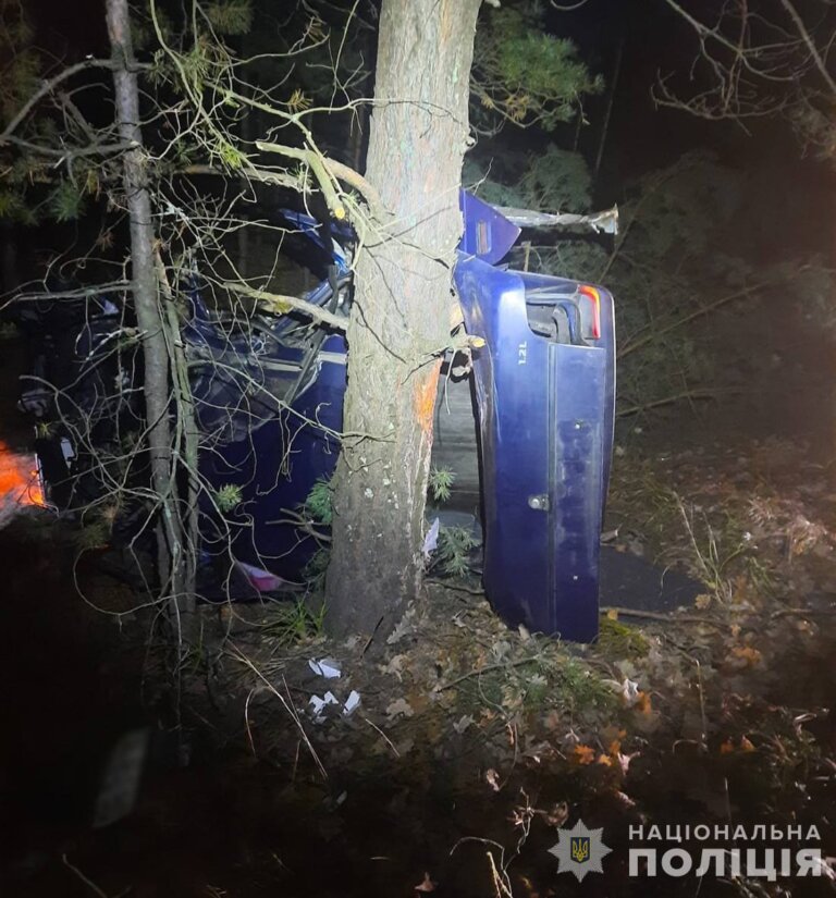 Не додому, а в кювет: радомишльські поліцейські затримали підозрюваного в угоні автомобіля