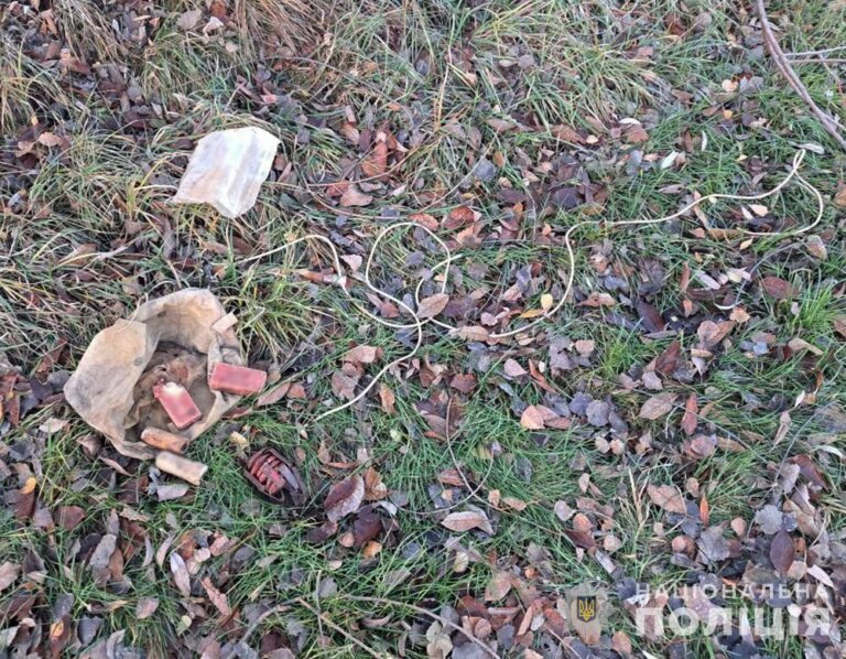 Сумка з вибухівкою в полі: на Звягельщині поліцейські вилучили небезпечну знахідку