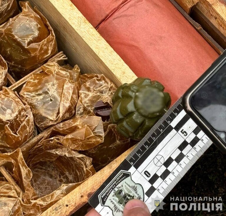 Торгував бойовими гранатами: на Житомирщині поліція викрила схему збуту боєприпасів