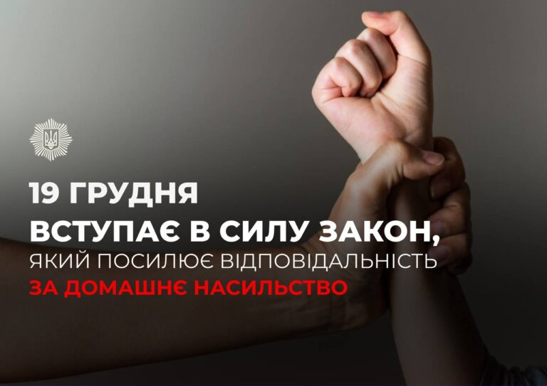 19 грудня вступає в силу закон, який посилює відповідальність за домашнє насильство
