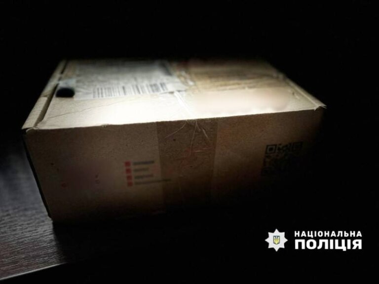 Підмінив вміст посилки: бердичівські поліцейські викрили чоловіка у шахрайстві