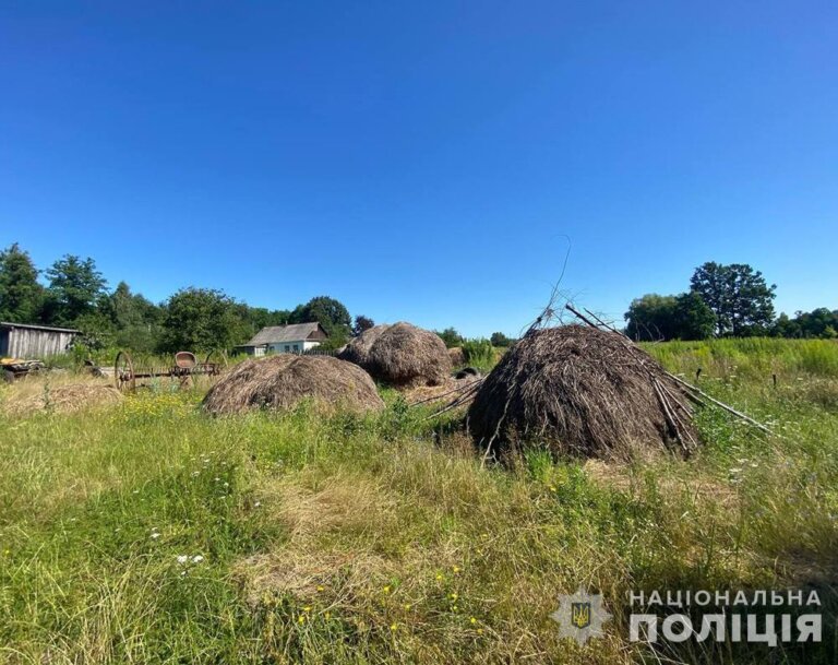 Обвинувачується в убивстві сусідки: поліцейські відправили на лаву підсудних жителя Житомирського району