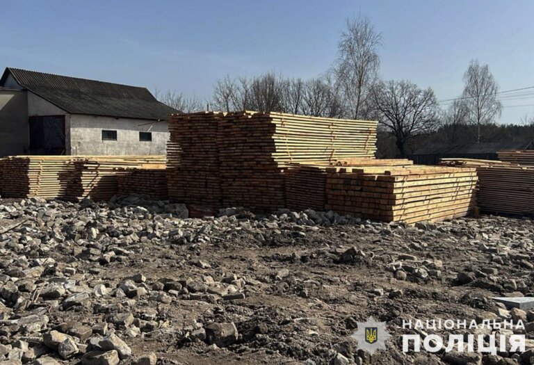 У Житомирській області викрили групу «чорних лісорубів», які зрубали 56 дерев і завдали збитків на понад 749 тис грн