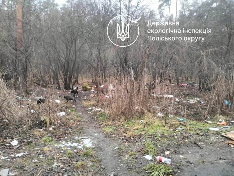 Три незаконних сміттєзвалища виявили екологи у Житомирі та звернулися до міської ради з вимогою їх ліквідувати