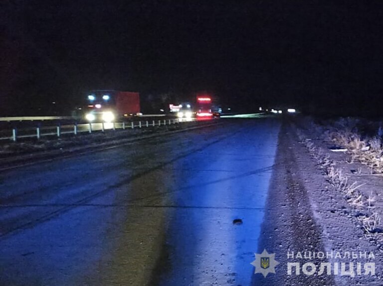 Водія, який на смерть збив жителя Одещини поблизу Житомира та втік з місця ДТП, взяли під варту з правом внесення застави