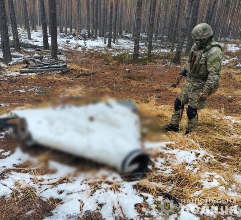 Вибухотехніки поліції у лісі в Житомирській області знешкодили бойову частину ворожого БпЛА типу «Герань»