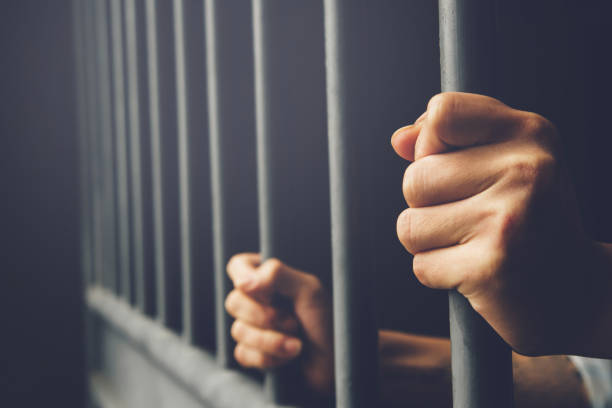 Під варту без застави взяли 60-річного житомирянина, який напідпитку збив пішохода та втік з місця ДТП