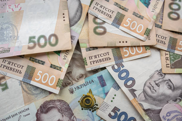 За 2024 рік понад півтисячі підприємців Житомирської області отримали мікрогрантів на загальну суму майже 140 млн грн