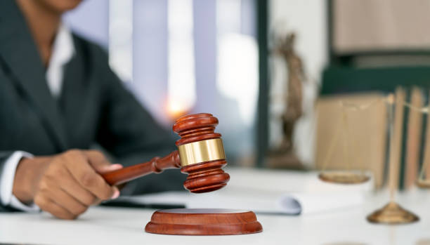Суд покарав жителя села Житомирської області, який вдарив кота сусідки об стіну та викинув на вулицю, бо той кидався на м’ясо