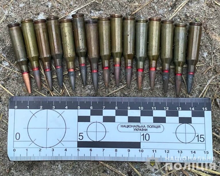 Дві гранати, вогнепальну зброю та близько півсотні набоїв вилучили під час обшуку у жителя Житомирської області