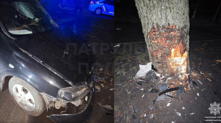 ДТП на Гоголівській у Житомирі: вчора о 2 ночі водій Opel наїхав на дерево та втік до приїзду патрульних