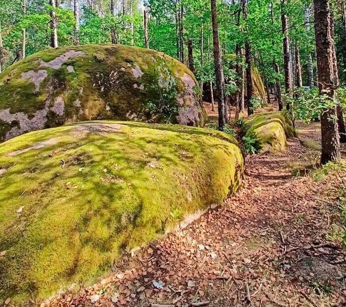 Камінне село на Житомирщині. Історія, легенди та факти. ФОТО