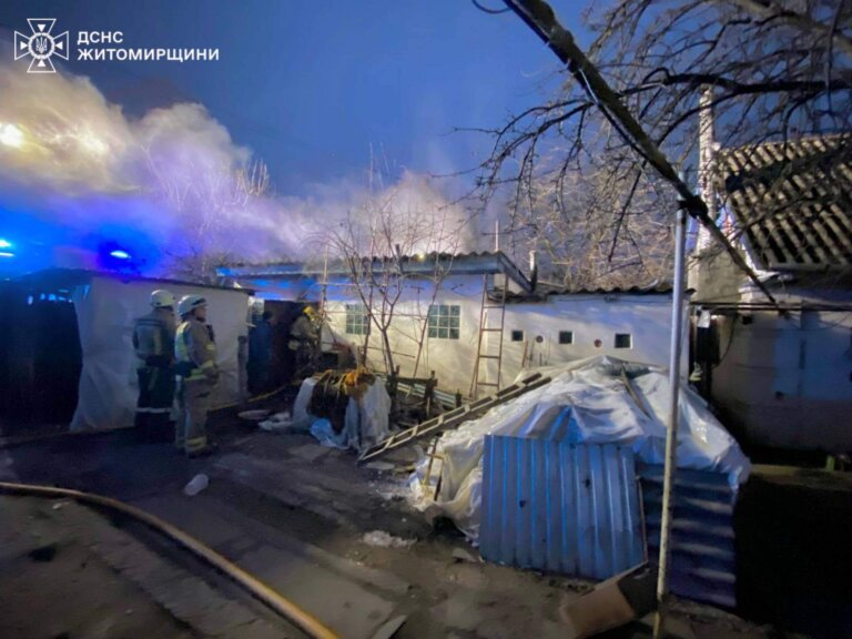 Рятувальники у Житомирі за 20 хвилин ліквідували пожежу в гаражі