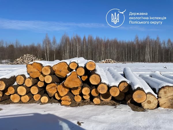 Екоінспектори у лісовому масиві Житомирської області виявили перевезення деревини без маркування та склали протокол