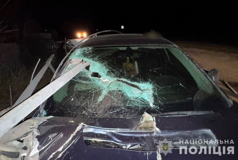 На Коростенщині в ДТП травмовано водія та пасажира легковика: поліція з’ясовує обставини