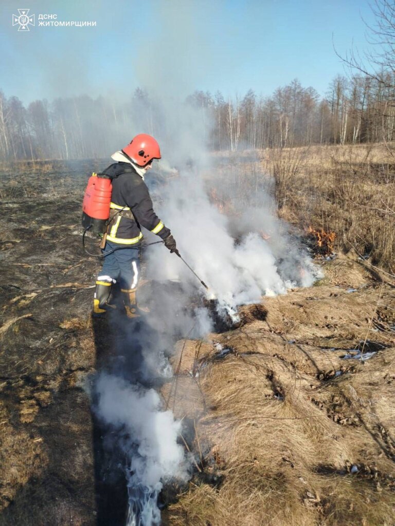 Упродовж доби вогнеборці ліквідували 8 загорянь в природних екосистемах