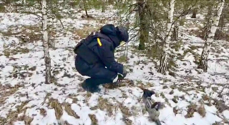 Піротехніки ДСНС області знешкодили сьогодні дві мінометні міни поблизу села Товсте Житомирського району