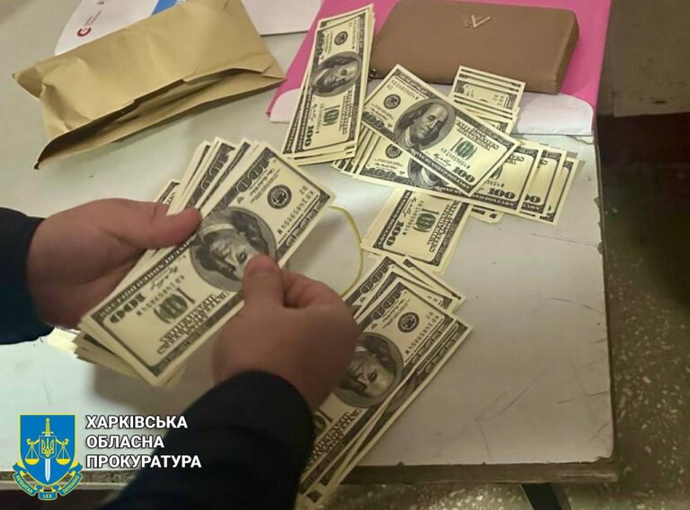 Продала свою двомісячну доньку за 20 000 доларів США – у Харкові затримано жінку