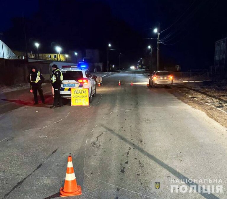 Бердичівські поліцейські встановлюють особу постраждалої у ДТП жінки