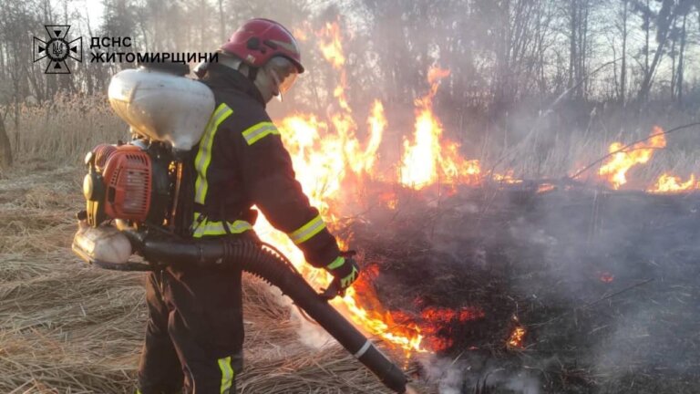 Упродовж доби вогнеборці ліквідували 28 загорянь в природних екосистемах