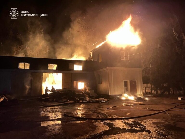 Рятувальники ліквідували пожежу на деревопереробному підприємстві