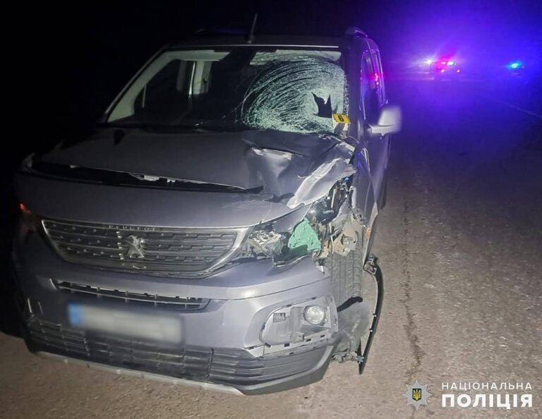 У Коростенському районі поліція з’ясовує обставини ДТП із загибеллю пішохода
