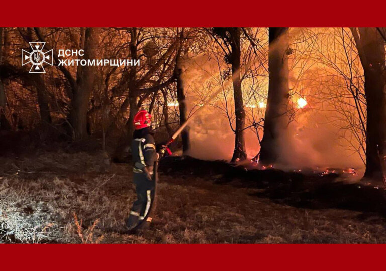 Населення продовжує наполегливо спалювати Житомирщину!