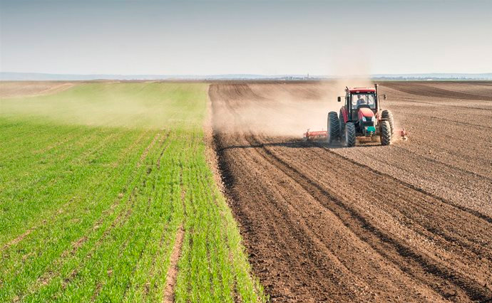 На Житомирщині розпочалася посівна кампанія 2025 року