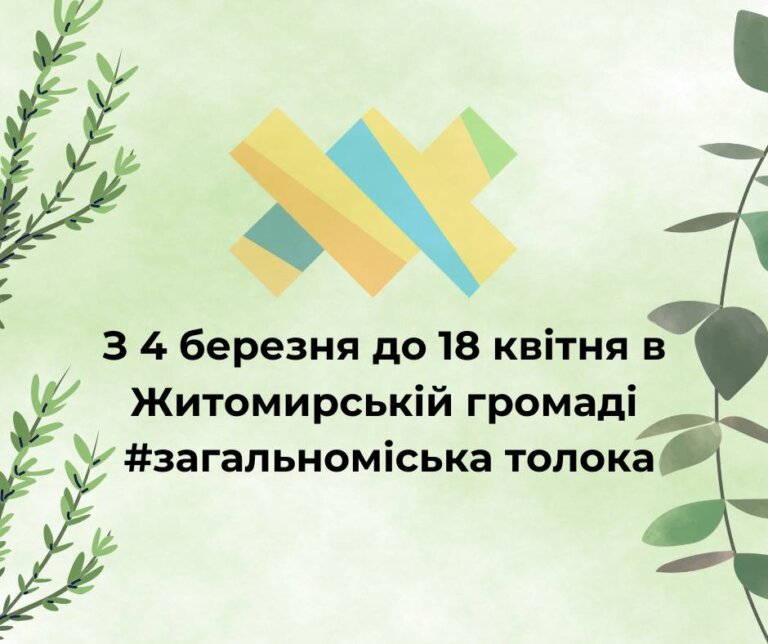 Весняна толока: масштабне прибирання у Житомирі