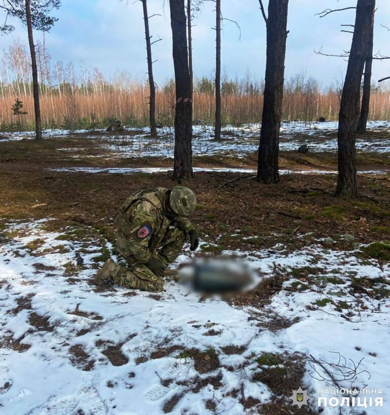 Поліцейські вибухотехніки Житомирської області в полі виявили та знешкодили ворожі боєприпаси