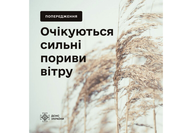 В Україні продовжується штормовий вітер: оголошено жовтий рівень небезпеки