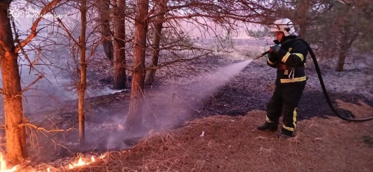 Упродовж доби вогнеборці ліквідували 17 пожеж в природних екосистемах