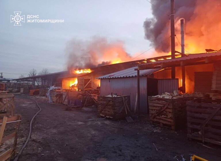 Вогнеборці ліквідували пожежу на деревообробному підприємстві у селі Житомирської області
