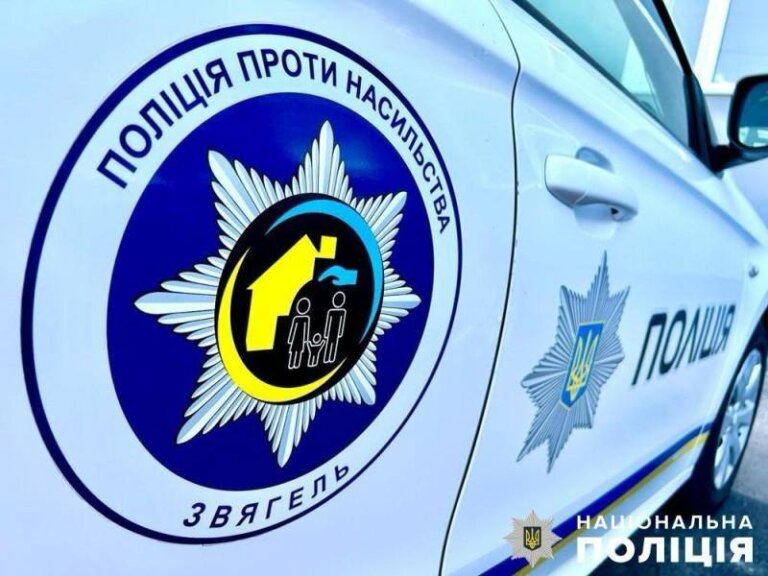 Суд визнав винним у вчиненні домашнього насильства жителя Звягельщини