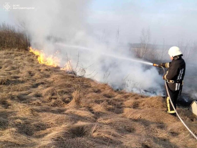 Житомирщина у вогні: протягом доби зареєстровано 144 пожежі в екосистемах