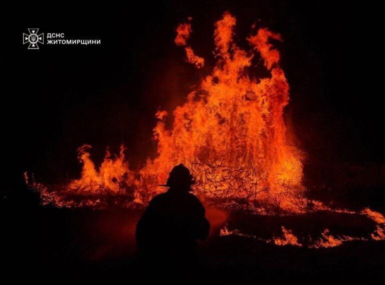 За минулу добу рятувальники Житомирщини ліквідували 107 пожеж сухої трави! Вигоріло понад 117 гектарів землі