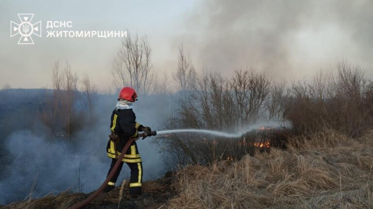 Упродовж минулої доби вогнеборці області ліквідували 31 пожежу на відкритих територіях