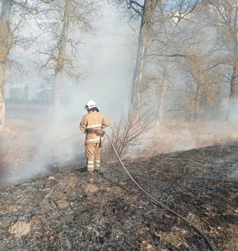 Із настанням теплої погоди різко зросла кількість пожеж в екосистемах