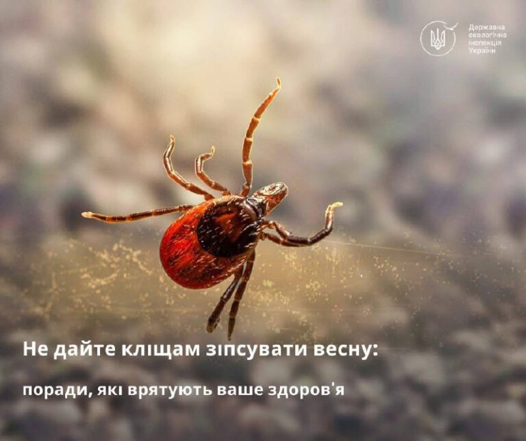Весна приносить не лише тепло, але й підвищену активність кліщів