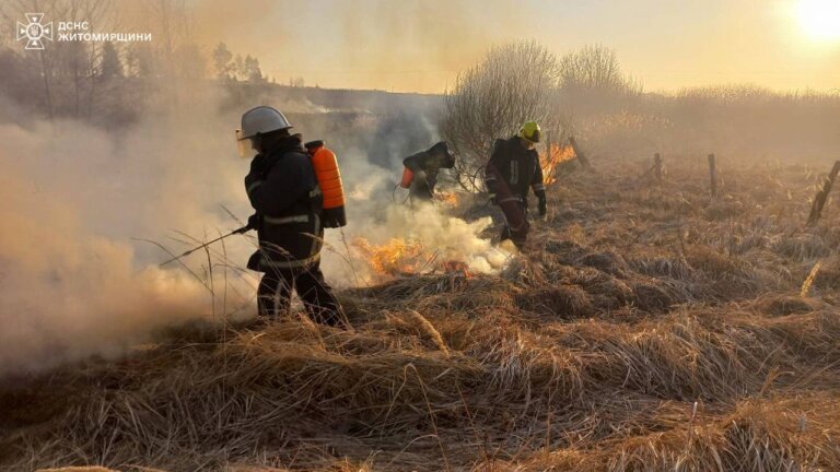 Впродовж доби бійці ДСНС 67 разів гасили займання сухої рослинності