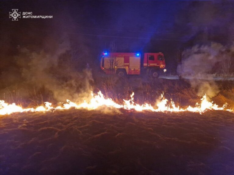 В області знову фіксується стрімкий ріст кількості пожеж у природних екосистемах