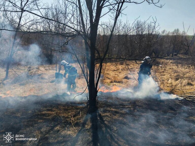 Під час гасіння сухостою рятувальники виявили тіло 84-річного чоловіка