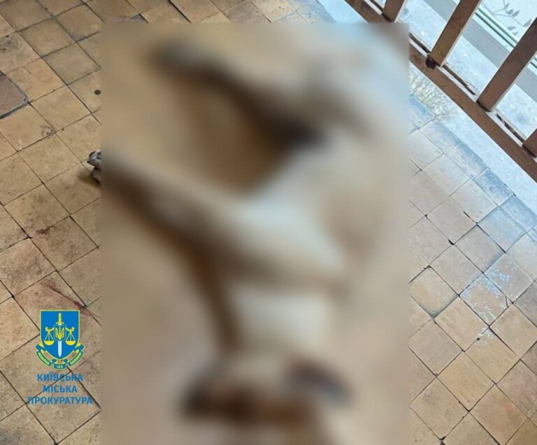 Вбив собаку, скинувши зі сходів – до 7 років та 6 місяців позбавлення волі засуджено киянина