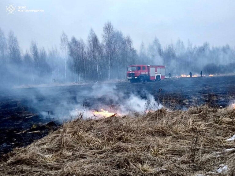 Упродовж доби вогнеборці ліквідували 8 пожеж в природних екосистемах